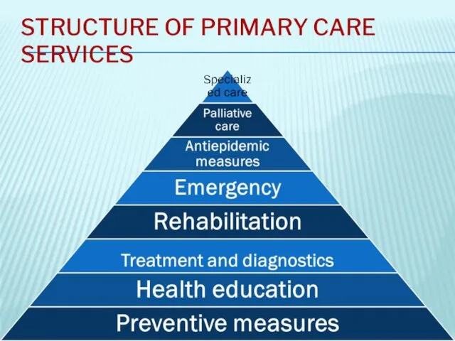 STRUCTURE OF PRIMARY CARE SERVICES