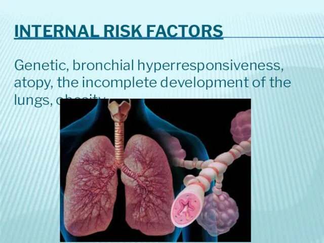 INTERNAL RISK FACTORS Genetic, bronchial hyperresponsiveness, atopy, the incomplete development of the lungs, obesity.