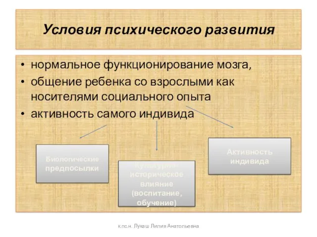 Условия психического развития нормальное функционирование мозга, общение ребенка со взрослыми