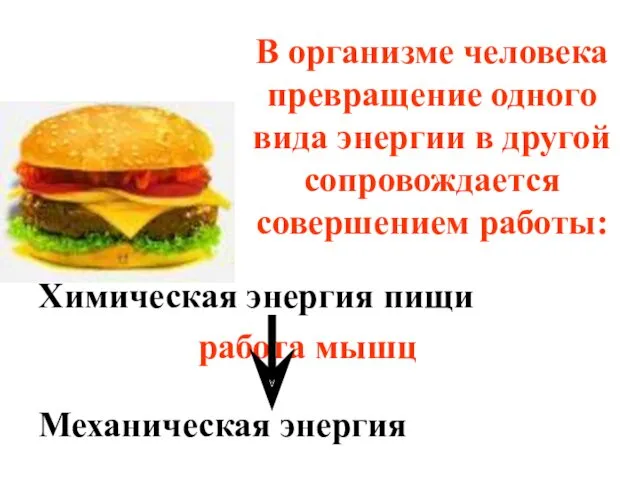 В организме человека превращение одного вида энергии в другой сопровождается