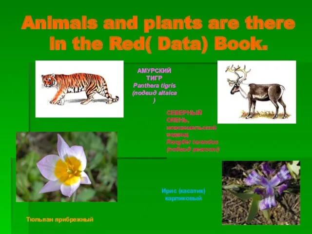 Animals and plants are there in the Red( Data) Book.