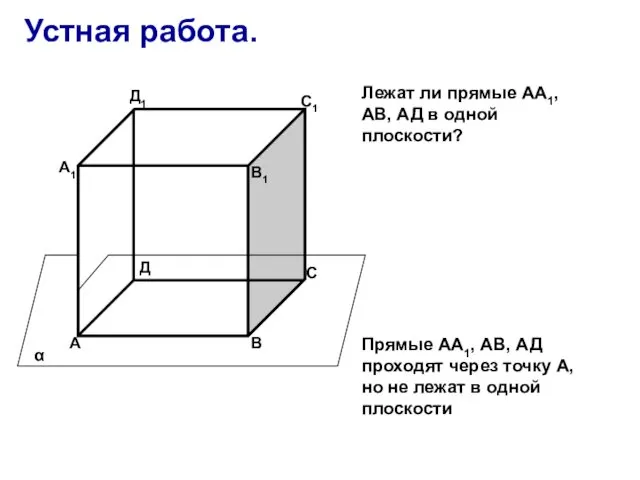 Устная работа. А В С Д А1 В1 С1 Д1