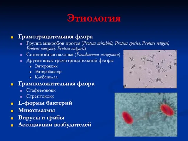 Этиология Грамотрицательная флора Группа микробов протея (Proteus mirabilis, Proteus species,