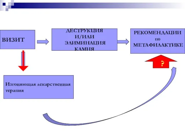 ВИЗИТ ДЕСТРУКЦИЯ И/ИЛИ ЭЛИМИНАЦИЯ КАМНЯ РЕКОМЕНДАЦИИ по МЕТАФИЛАКТИКЕ Изгоняющая лекарственная терапия ?