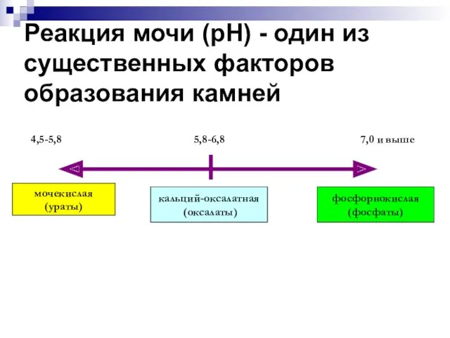 Реакция мочи (рН) - один из существенных факторов образования камней