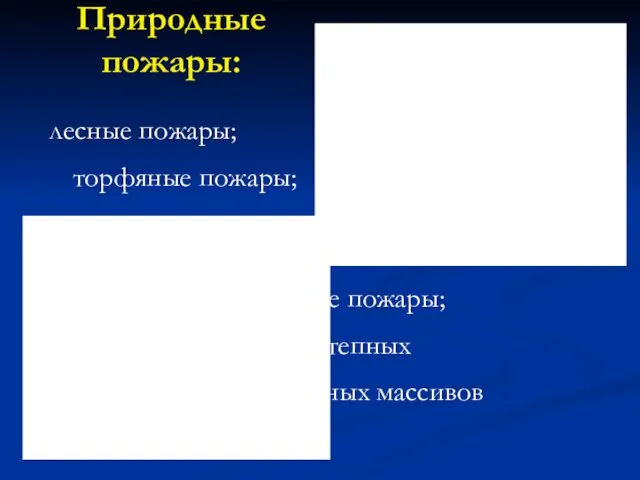 Природные пожары: лесные пожары; торфяные пожары; подземные пожары; пожары степных и хлебных массивов