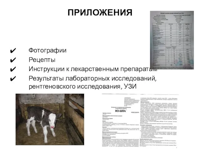 ПРИЛОЖЕНИЯ Фотографии Рецепты Инструкции к лекарственным препаратам Результаты лабораторных исследований, рентгеновского исследования, УЗИ