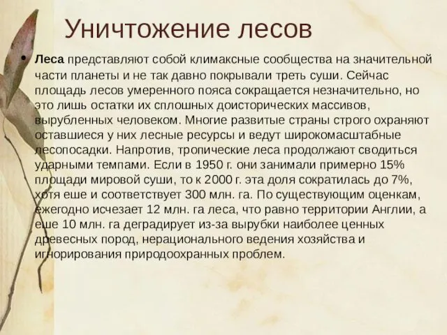 Уничтожение лесов Леса представляют собой климаксные сообщества на значительной части