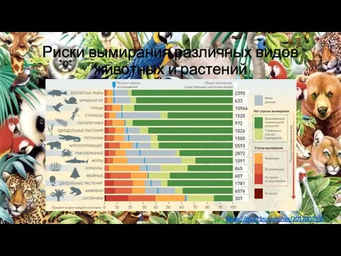 Риски вымирания различных видов животных и растений https://m.123ru.net/mix/201200793/