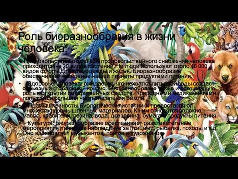 Роль биоразнообразия в жизни человека: Продовольствие: около 80% продовольственного снабжения