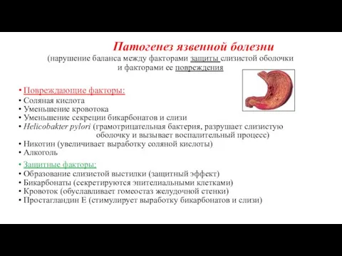 Патогенез язвенной болезни (нарушение баланса между факторами защиты слизистой оболочки