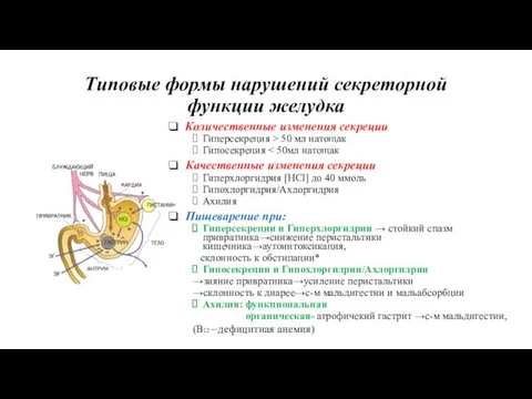 Типовые формы нарушений секреторной функции желудка Количественные изменения секреции Гиперсекреция ˃ 50 мл