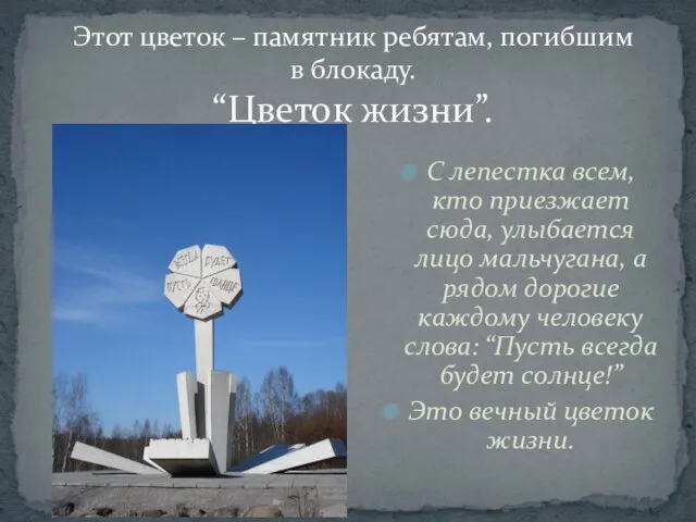 Этот цветок – памятник ребятам, погибшим в блокаду. “Цветок жизни”.