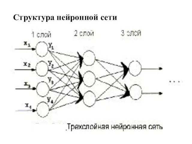 Структура нейронной сети ANNs are taught by system developer at concrete cases. While