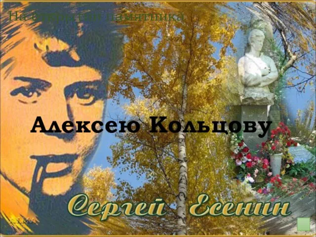 На открытии памятника Алексею Кольцову