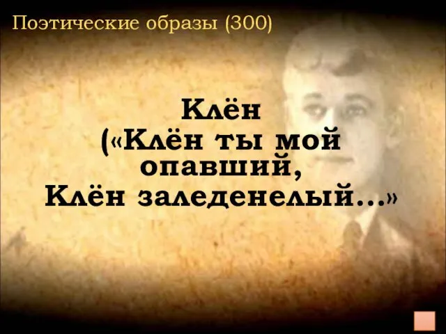 Поэтические образы (300) Клён («Клён ты мой опавший, Клён заледенелый…»