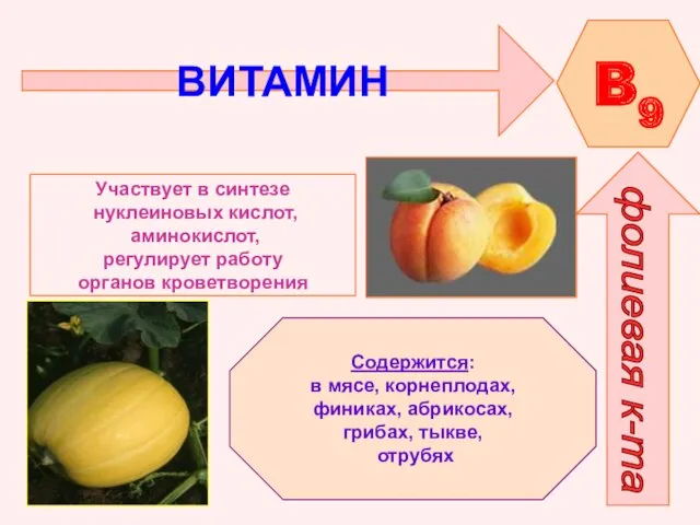 ВИТАМИН B9 фолиевая к-та Участвует в синтезе нуклеиновых кислот, аминокислот,