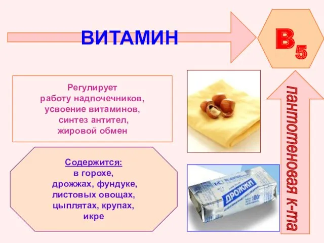 ВИТАМИН B5 пантотеновая к-та Регулирует работу надпочечников, усвоение витаминов, синтез