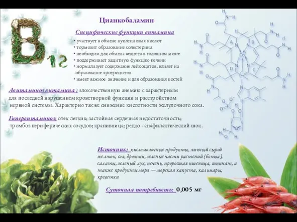 Цианкобаламин Специфические функции витамина участвует в обмене нуклеиновых кислот тормозит