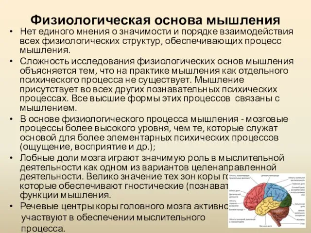 Физиологическая основа мышления Нет единого мнения о значимости и порядке