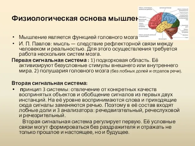 Физиологическая основа мышления Мышление является функцией головного мозга. И. П.