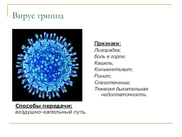 Вирус гриппа Признаки: Лихорадка; боль в горле; Кашель; Конъюнктивит; Ринит;