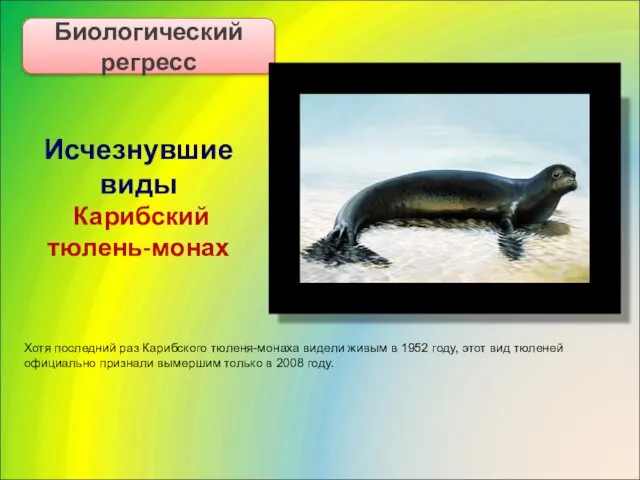 Исчезнувшие виды Карибский тюлень-монах Биологический регресс Хотя последний раз Карибского