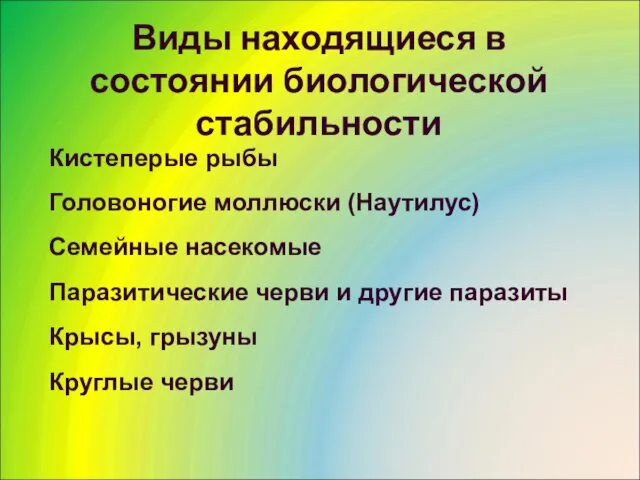 Виды находящиеся в состоянии биологической стабильности Кистеперые рыбы Головоногие моллюски