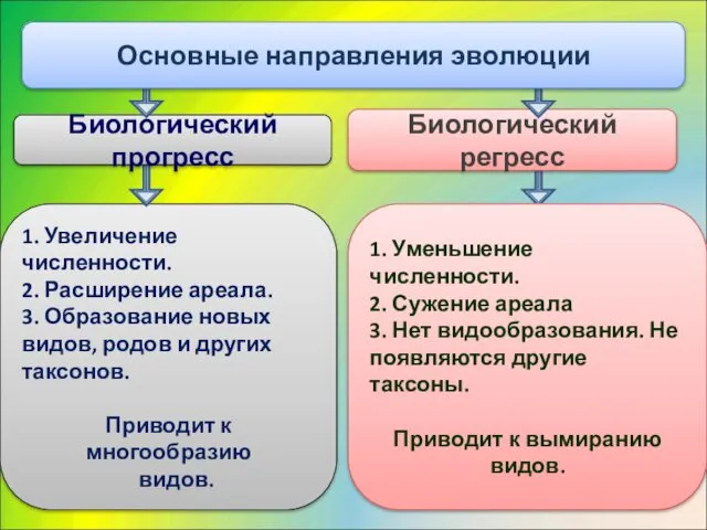 1. Увеличение численности. 2. Расширение ареала. 3. Образование новых видов,