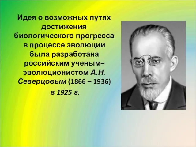 Идея о возможных путях достижения биологического прогресса в процессе эволюции