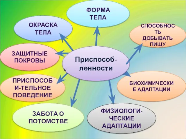 СПОСОБНОСТЬ ДОБЫВАТЬ ПИЩУ ФОРМА ТЕЛА ОКРАСКА ТЕЛА ЗАЩИТНЫЕ ПОКРОВЫ ПРИСПОСОБИ-ТЕЛЬНОЕ