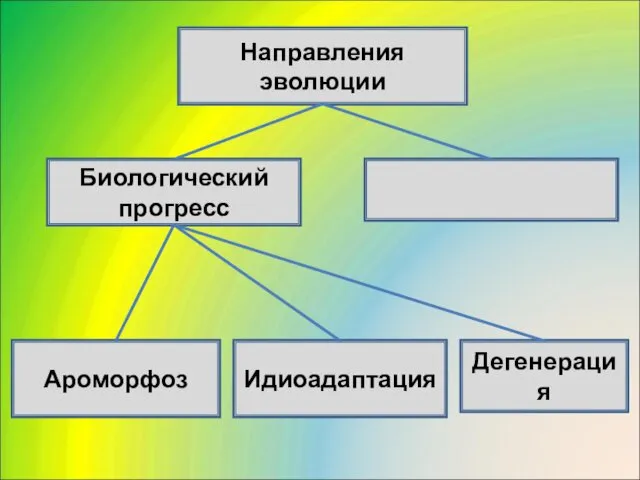 Направления эволюции Биологический прогресс Дегенерация Идиоадаптация Ароморфоз