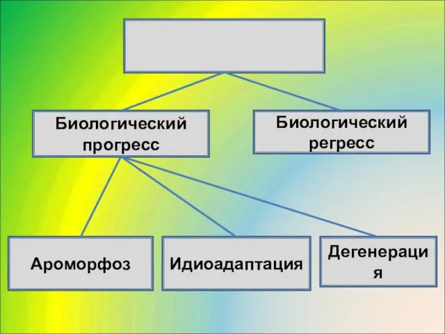 Биологический прогресс Биологический регресс Дегенерация Идиоадаптация Ароморфоз