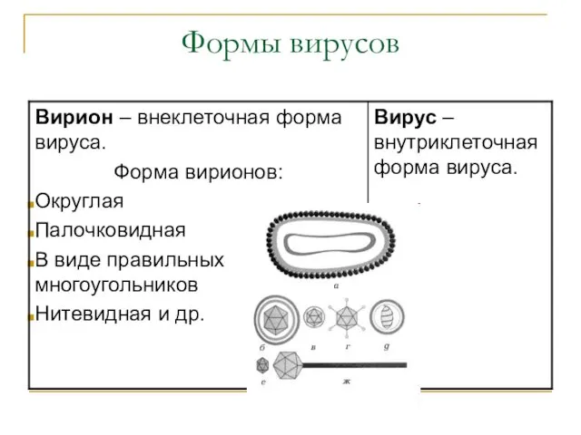 Формы вирусов