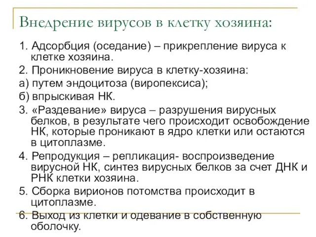 Внедрение вирусов в клетку хозяина: 1. Адсорбция (оседание) – прикрепление