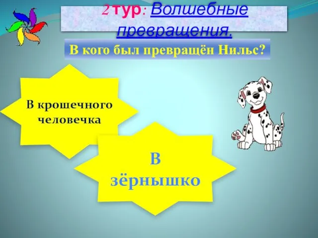 2 тур: Волшебные превращения. В кого был превращён Нильс? В крошечного человечка В зёрнышко