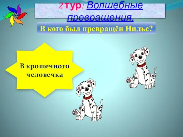 2 тур: Волшебные превращения. В кого был превращён Нильс? В крошечного человечка