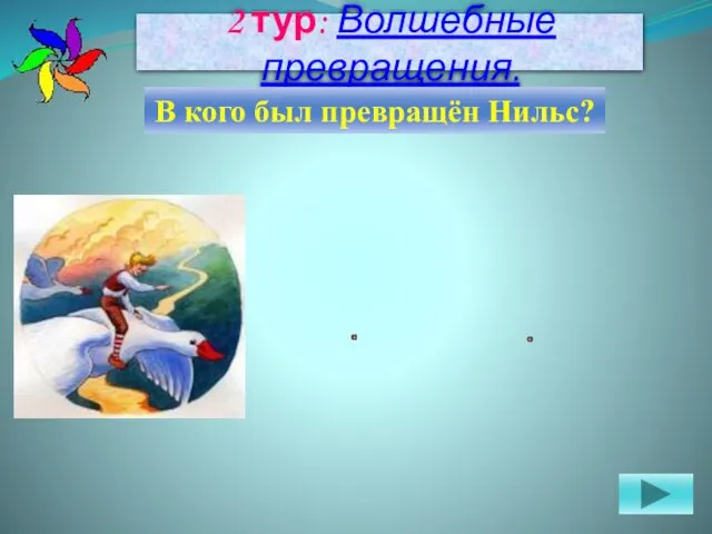 2 тур: Волшебные превращения. В кого был превращён Нильс?