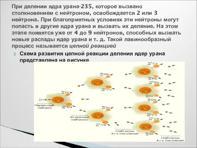 Схема развития цепной реакции деления ядер урана представлена на рисунке