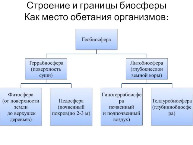 Строение и границы биосферы Как место обетания организмов: