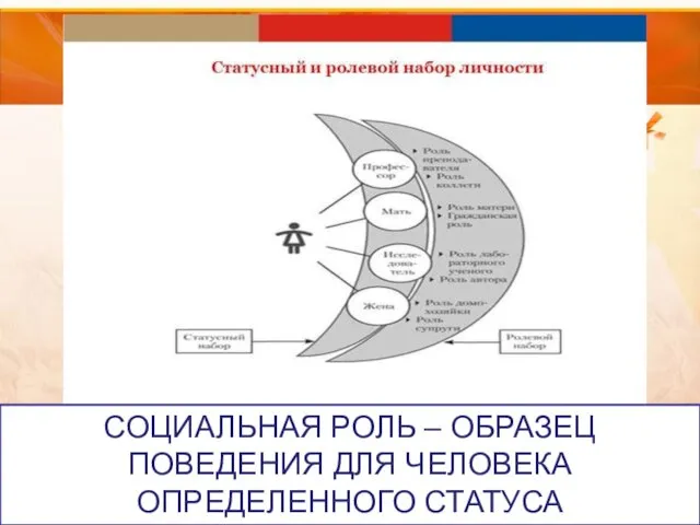 СОЦИАЛЬНАЯ РОЛЬ – ОБРАЗЕЦ ПОВЕДЕНИЯ ДЛЯ ЧЕЛОВЕКА ОПРЕДЕЛЕННОГО СТАТУСА