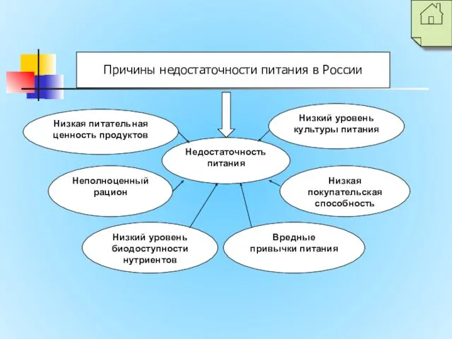 Недостаточность питания Низкая питательная ценность продуктов Неполноценный рацион Низкий уровень