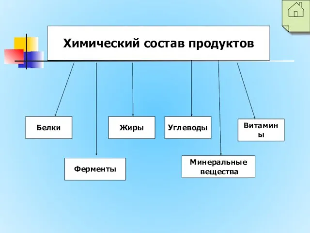 Химический состав продуктов Белки Ферменты Витамины Углеводы Жиры Минеральные вещества