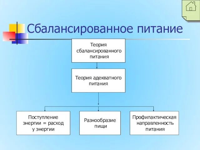 Сбалансированное питание Теория сбалансированного питания Профилактическая направленность питания Теория адекватного