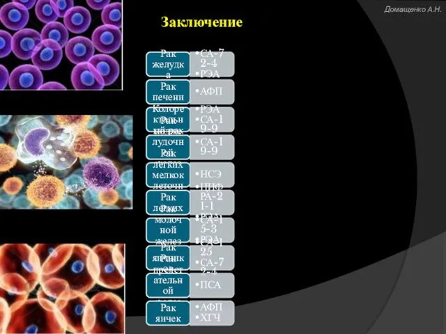 Заключение Рак желудка СА-72-4 РЭА Рак печени АФП Колоректальный рак