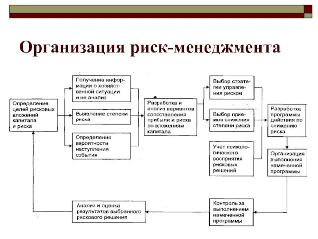 Организация риск-менеджмента