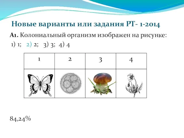 Новые варианты или задания РТ- 1-2014 А1. Колониальный организм изображен