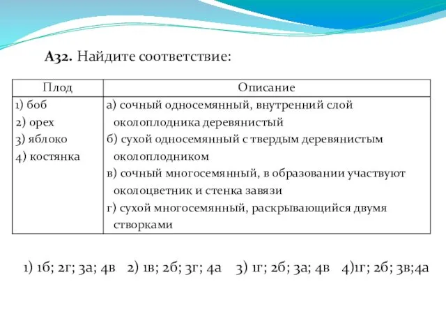 А32. Найдите соответствие: 1) 1б; 2г; 3а; 4в 2) 1в;