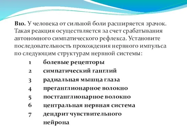 В10. У человека от сильной боли расширяется зрачок. Такая реакция