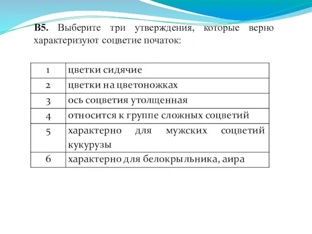 В5. Выберите три утверждения, которые верно характеризуют соцветие початок: